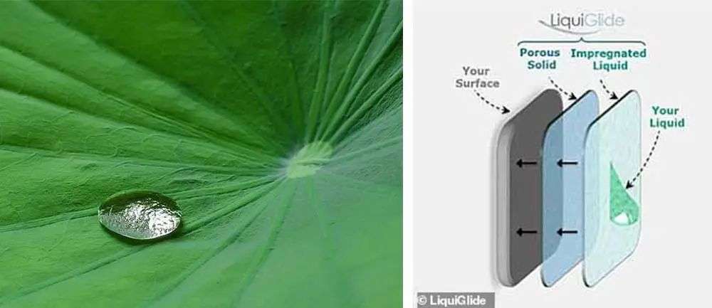 再也不用「擠牙膏」，高露潔換上的「潤滑劑」包裝，讓牙膏從此一滴不剩